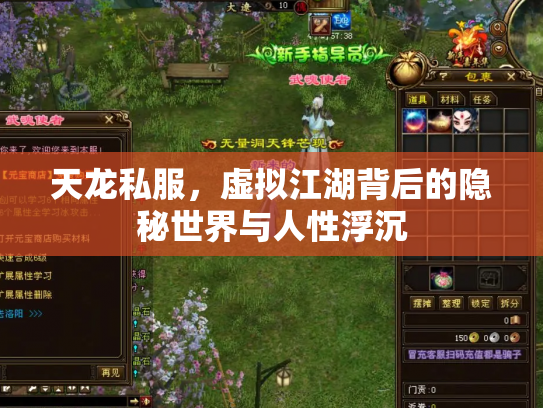 天龙私服，虚拟江湖背后的隐秘世界与人性浮沉