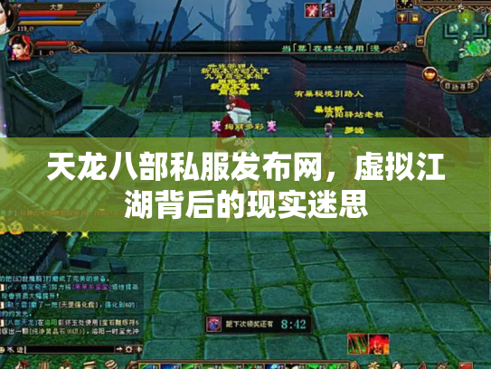 天龙八部私服发布网，虚拟江湖背后的现实迷思