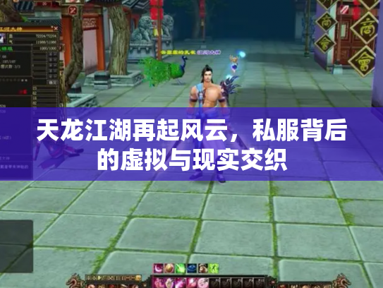 天龙江湖再起风云，私服背后的虚拟与现实交织