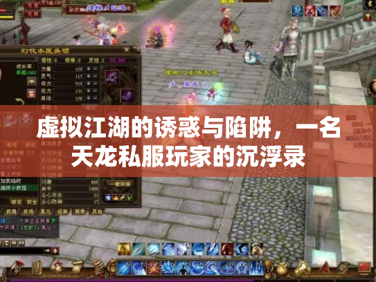 虚拟江湖的诱惑与陷阱，一名天龙私服玩家的沉浮录