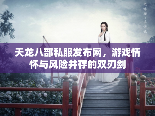天龙八部私服发布网，游戏情怀与风险并存的双刃剑