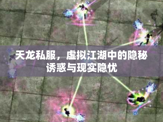 天龙私服，虚拟江湖中的隐秘诱惑与现实隐忧