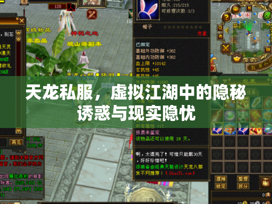 天龙私服，虚拟江湖中的隐秘诱惑与现实隐忧