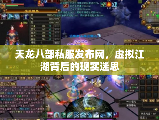 天龙八部私服发布网，虚拟江湖背后的现实迷思
