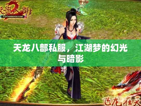 天龙八部私服，江湖梦的幻光与暗影