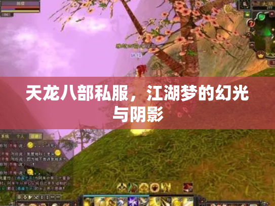 天龙八部私服，江湖梦的幻光与阴影