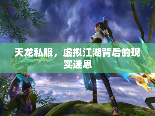 天龙私服，虚拟江湖背后的现实迷思