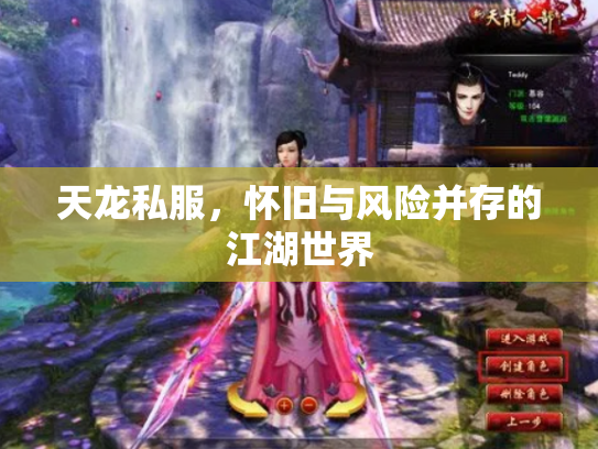 天龙私服，怀旧与风险并存的江湖世界