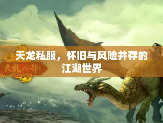 天龙私服，怀旧与风险并存的江湖世界