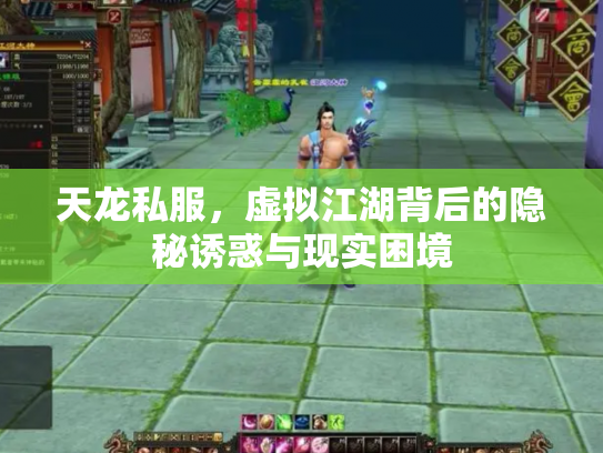 天龙私服，虚拟江湖背后的隐秘诱惑与现实困境