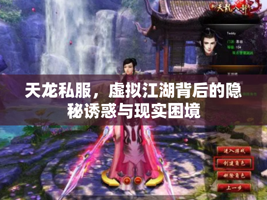 天龙私服，虚拟江湖背后的隐秘诱惑与现实困境