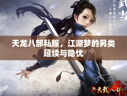 天龙八部私服，江湖梦的另类延续与隐忧