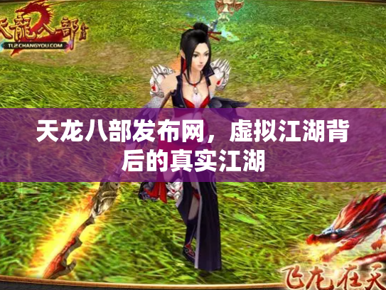 天龙八部发布网，虚拟江湖背后的真实江湖