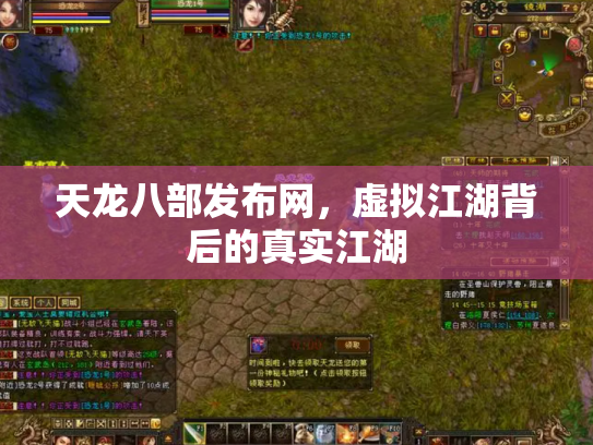 天龙八部发布网，虚拟江湖背后的真实江湖