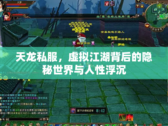 天龙私服，虚拟江湖背后的隐秘世界与人性浮沉