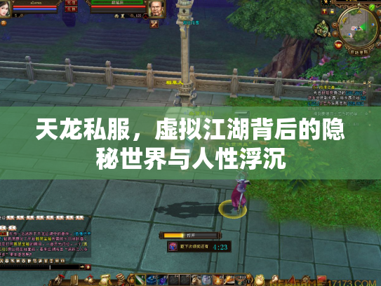 天龙私服，虚拟江湖背后的隐秘世界与人性浮沉