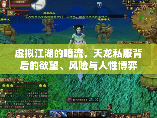 虚拟江湖的暗流，天龙私服背后的欲望、风险与人性博弈