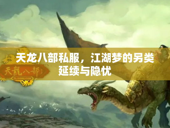 天龙八部私服，江湖梦的另类延续与隐忧
