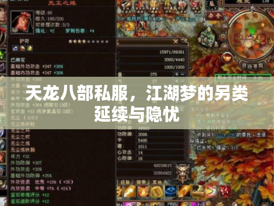 天龙八部私服，江湖梦的另类延续与隐忧
