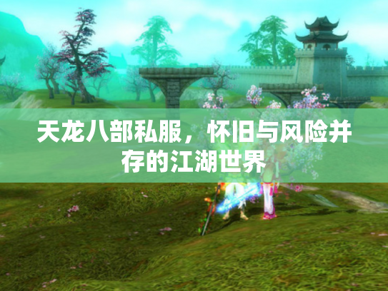 天龙八部私服，怀旧与风险并存的江湖世界