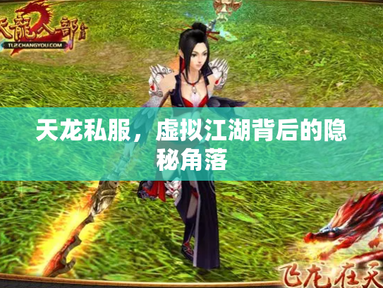天龙私服，虚拟江湖背后的隐秘角落