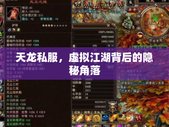 天龙私服，虚拟江湖背后的隐秘角落