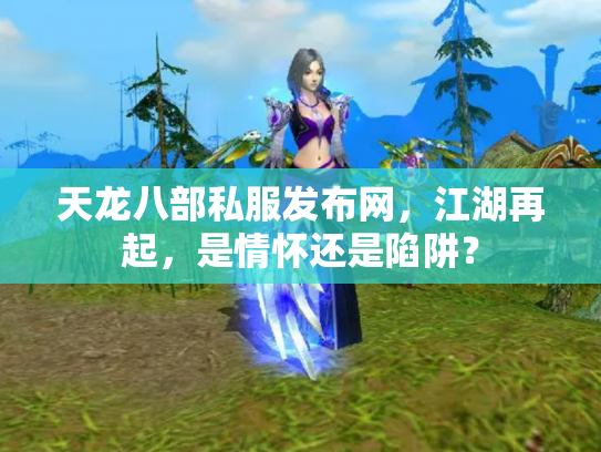 天龙八部私服发布网，江湖再起，是情怀还是陷阱？