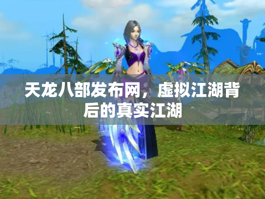 天龙八部发布网，虚拟江湖背后的真实江湖