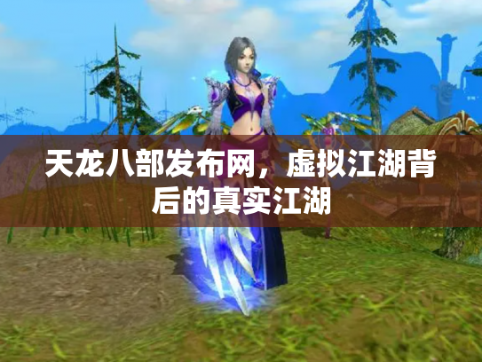天龙八部发布网，虚拟江湖背后的真实江湖