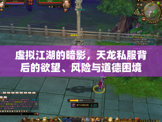 虚拟江湖的暗影，天龙私服背后的欲望、风险与道德困境