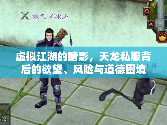 虚拟江湖的暗影，天龙私服背后的欲望、风险与道德困境