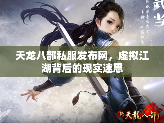 天龙八部私服发布网，虚拟江湖背后的现实迷思