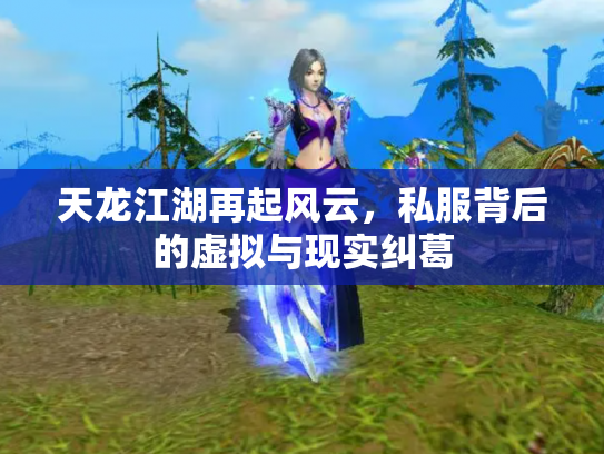 天龙江湖再起风云，私服背后的虚拟与现实纠葛
