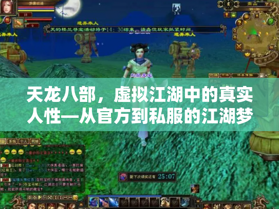 天龙八部，虚拟江湖中的真实人性—从官方到私服的江湖梦与现实困境