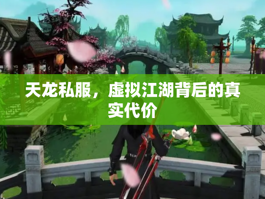 天龙私服，虚拟江湖背后的真实代价