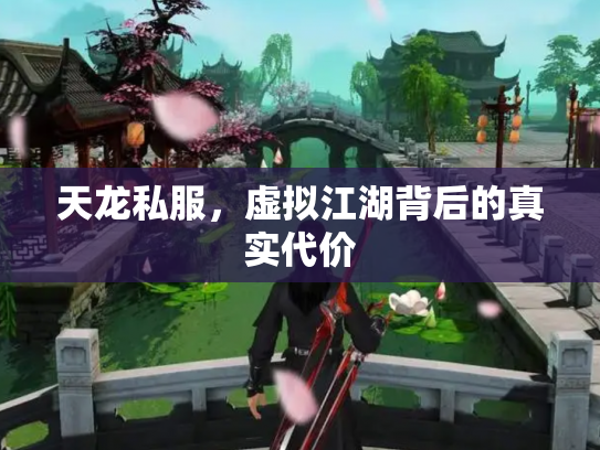 天龙私服，虚拟江湖背后的真实代价