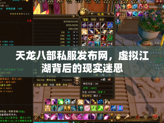 天龙八部私服发布网，虚拟江湖背后的现实迷思