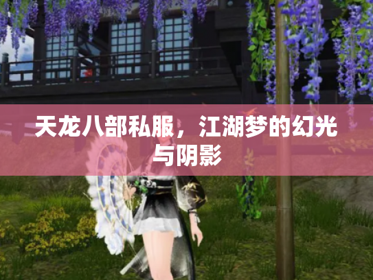 天龙八部私服，江湖梦的幻光与阴影