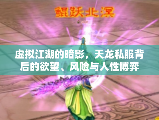 虚拟江湖的暗影，天龙私服背后的欲望、风险与人性博弈