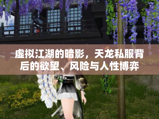 虚拟江湖的暗影，天龙私服背后的欲望、风险与人性博弈