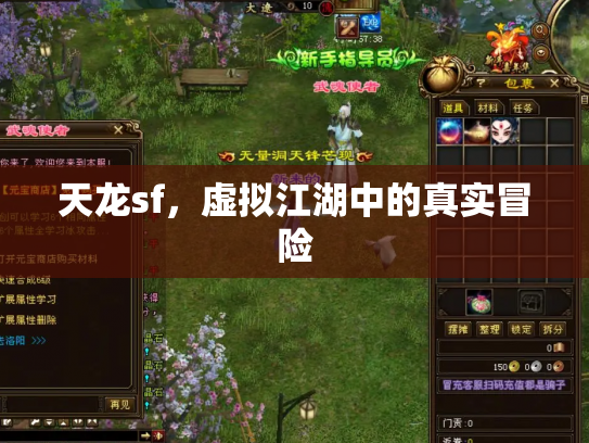 天龙sf，虚拟江湖中的真实冒险
