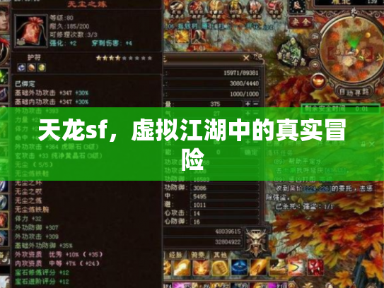 天龙sf，虚拟江湖中的真实冒险