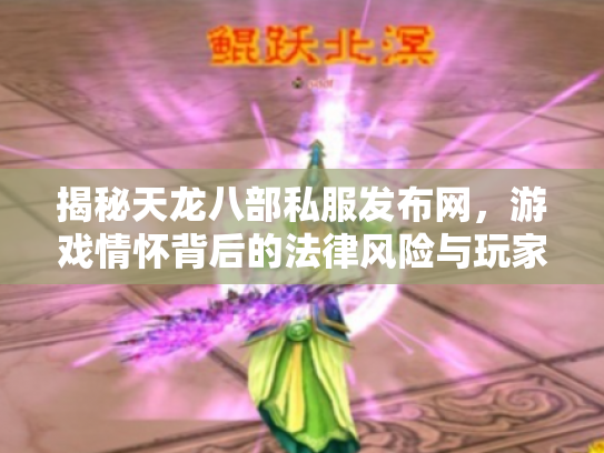 揭秘天龙八部私服发布网，游戏情怀背后的法律风险与玩家抉择