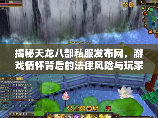 揭秘天龙八部私服发布网，游戏情怀背后的法律风险与玩家抉择