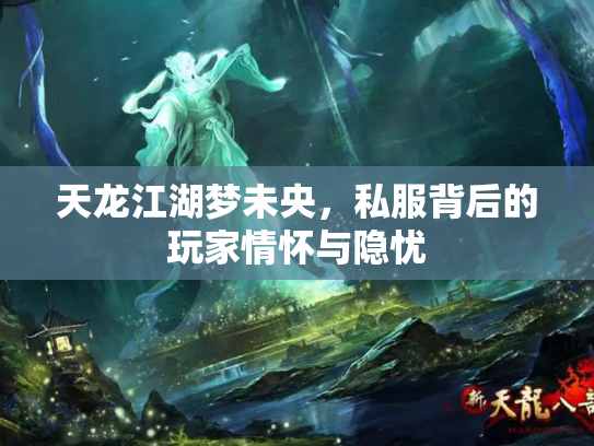 天龙江湖梦未央，私服背后的玩家情怀与隐忧