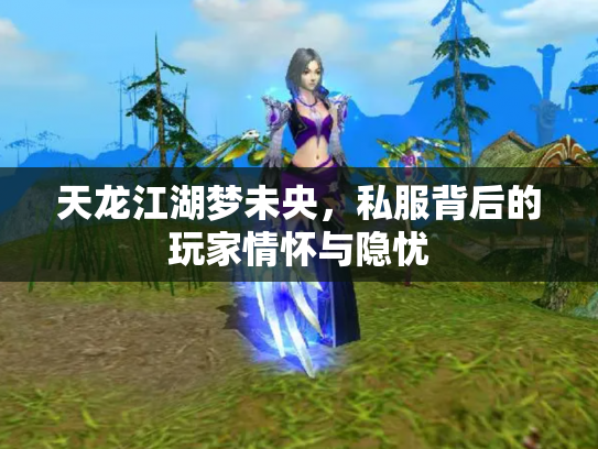 天龙江湖梦未央，私服背后的玩家情怀与隐忧