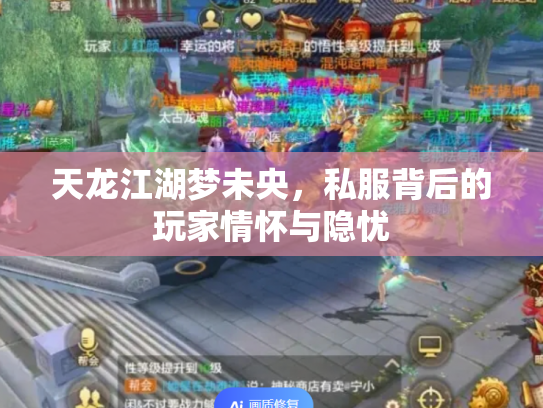 天龙江湖梦未央，私服背后的玩家情怀与隐忧