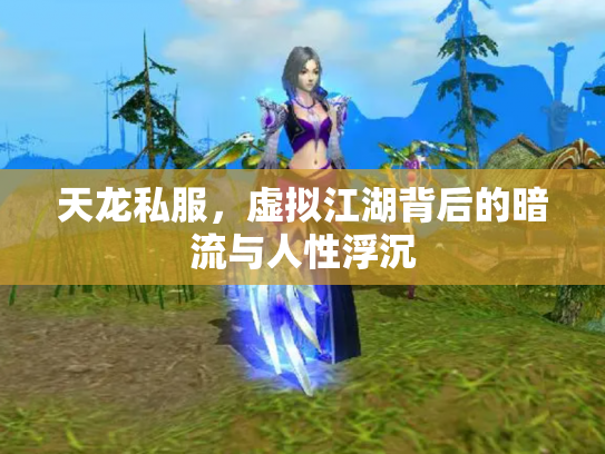 天龙私服，虚拟江湖背后的暗流与人性浮沉