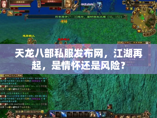 天龙八部私服发布网，江湖再起，是情怀还是风险？