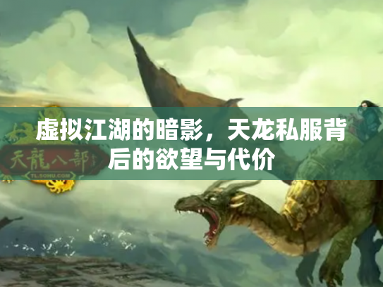 虚拟江湖的暗影，天龙私服背后的欲望与代价